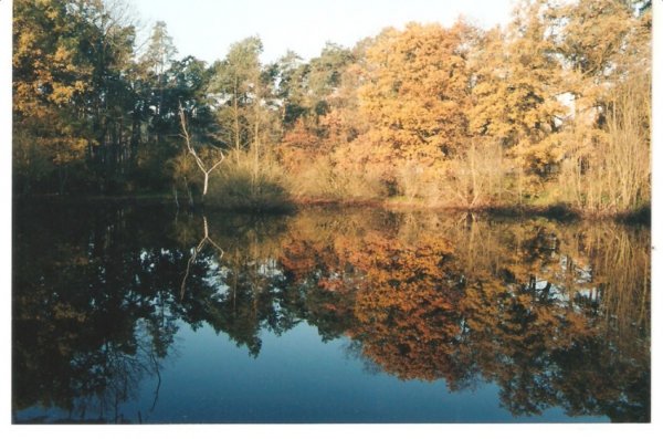 Фотовиставка Олександра Пизи